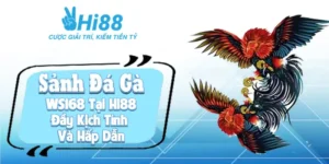 WS168 dai dien