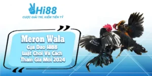 da ga cua dao dai dien