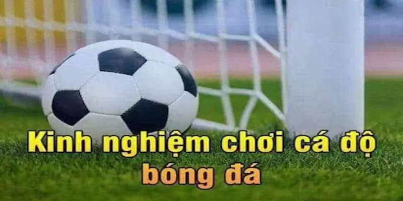 Khám Phá Bóng đá Saba trực tiếp Hi88 - Lựa Chọn Cá Cược Hoàn Hảo Người chơi cần có kinh nghiệm nhất định để cá cược Bóng đá Saba